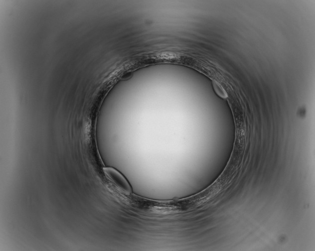 X0000100350556200806060803