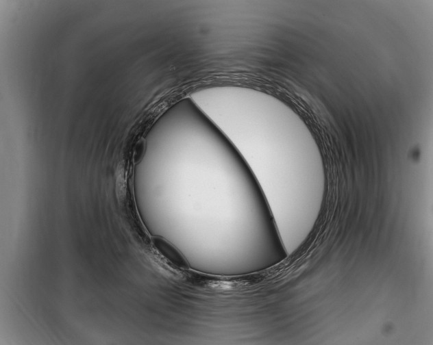 X0000100350558200806060803