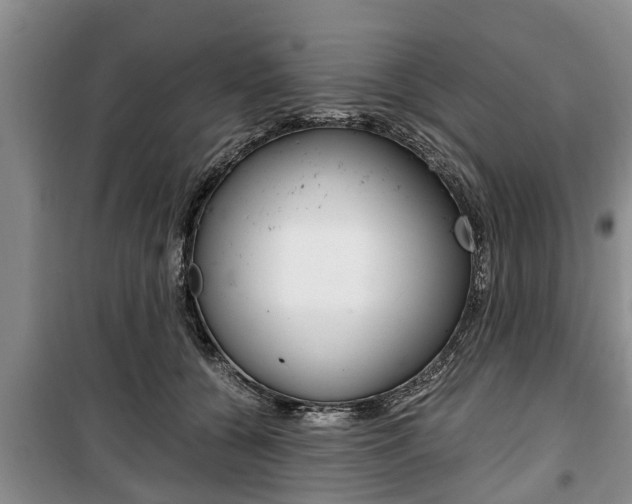 X0000100350560200806060803
