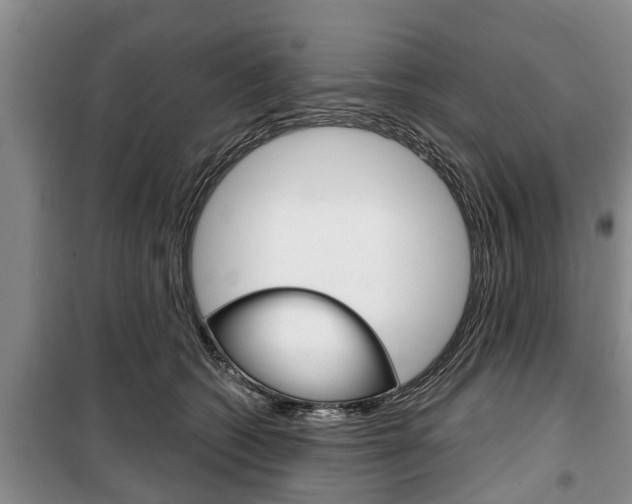 X0000100350562200806060803