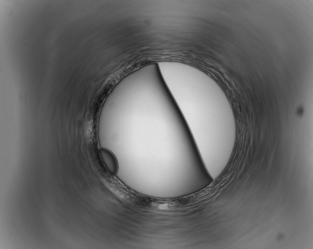 X0000100350564200806060803