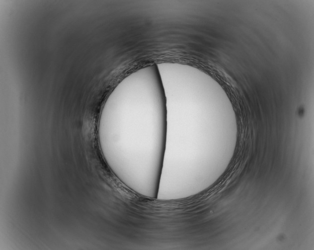 X0000100350565200806060803