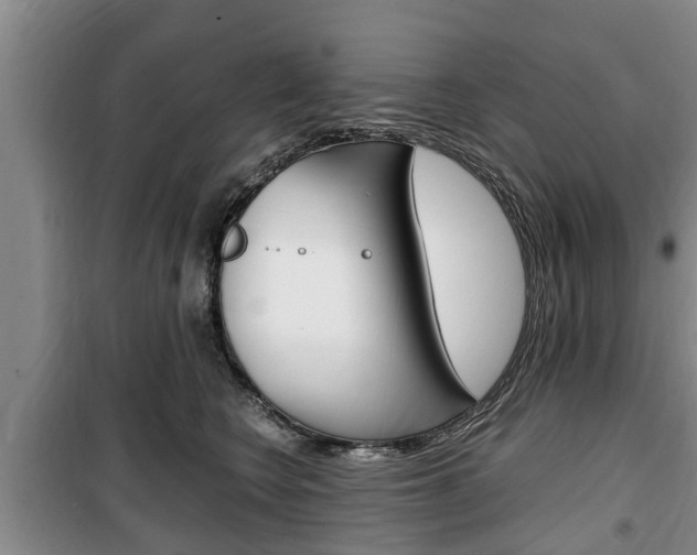 X0000100350566200806060803