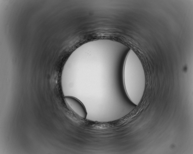 X0000100350567200806060803