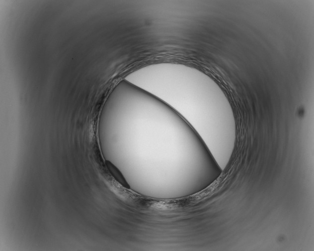X0000100350568200806060803