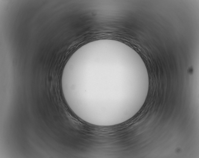 X0000100350570200806060803