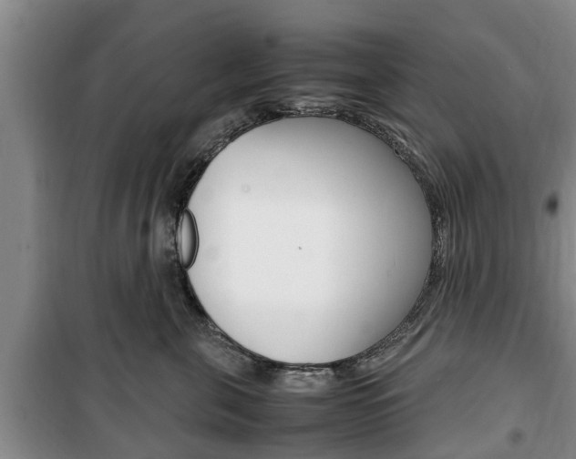 X0000100350571200806060803