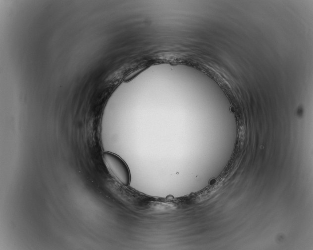 X0000100350572200806060803