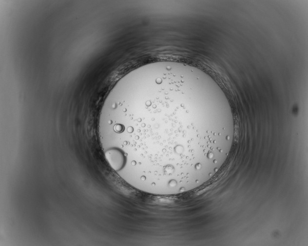 X0000100350573200806060803