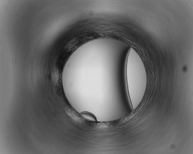 X0000100350574200806060803
