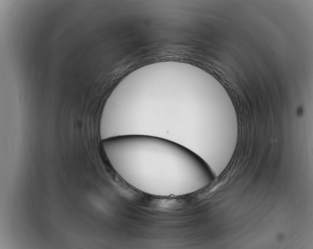 X0000100350575200806060803