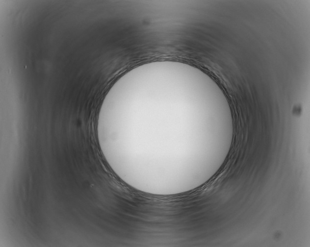 X0000100350576200806060803