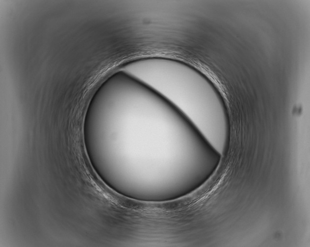 X0000100350577200806060802