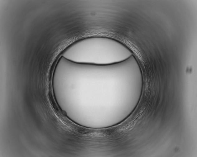 X0000100350578200806060802