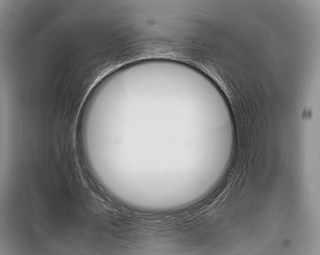 X0000100350579200806060802