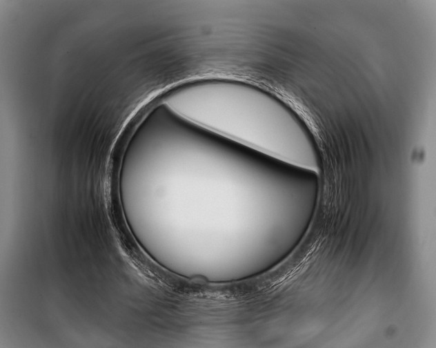 X0000100350580200806060802