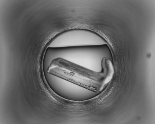 X0000100350581200806060802