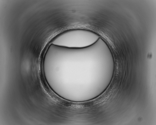 X0000100350582200806060802
