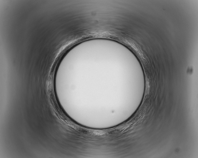 X0000100350583200806060802