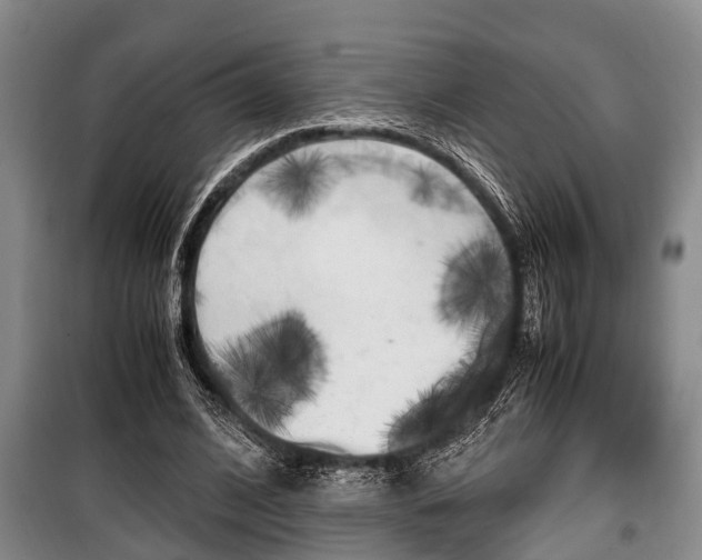 X0000100350584200806060802