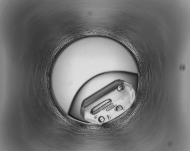 X0000100350585200806060802