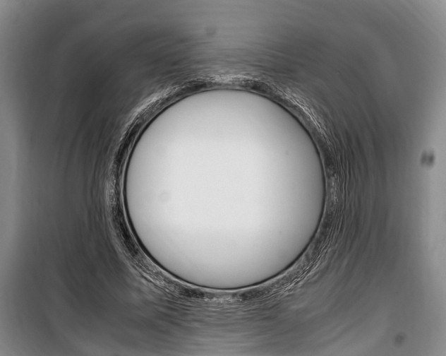 X0000100350587200806060802