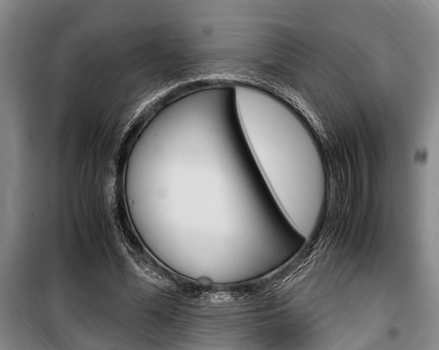 X0000100350588200806060802