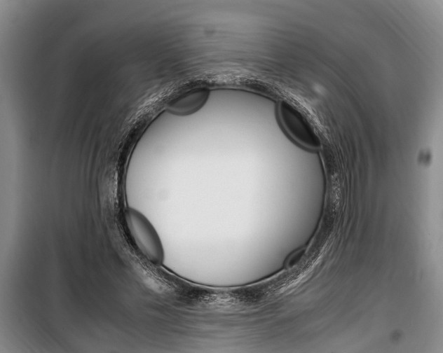 X0000100350589200806060802