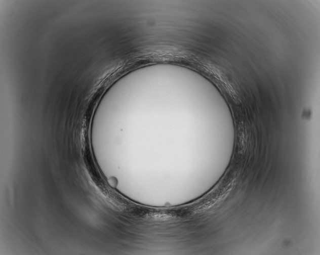 X0000100350590200806060802