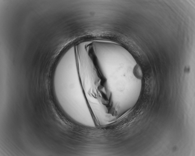 X0000100350592200806060802