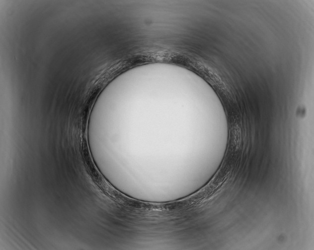 X0000100350594200806060802