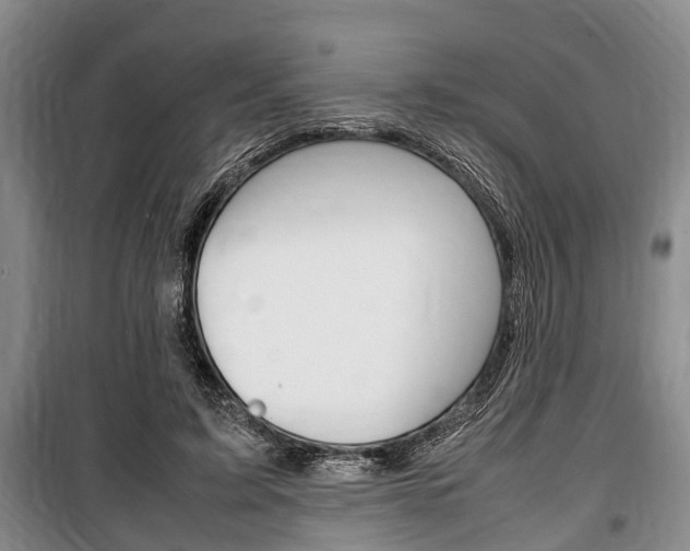 X0000100350595200806060802