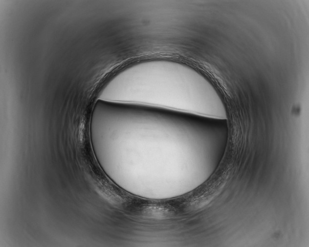 X0000100350596200806060802
