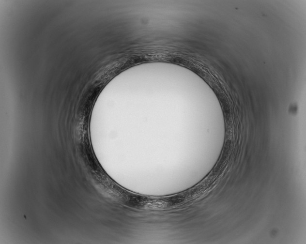 X0000100350599200806060802