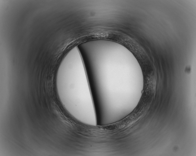 X0000100350600200806060802