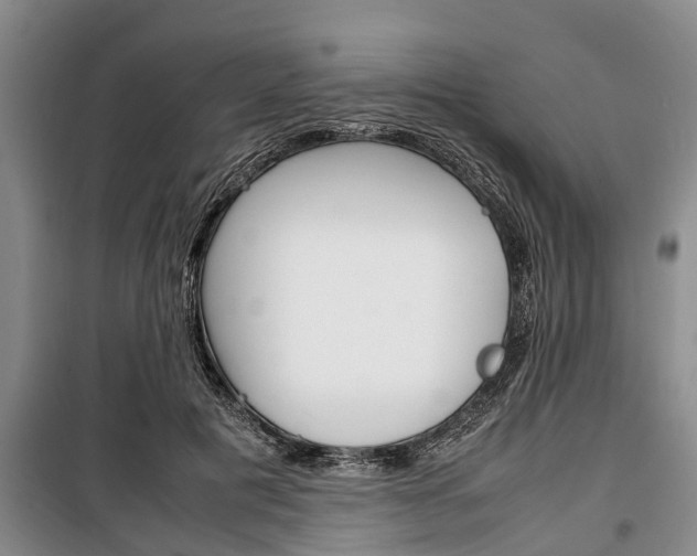 X0000100350601200806060802