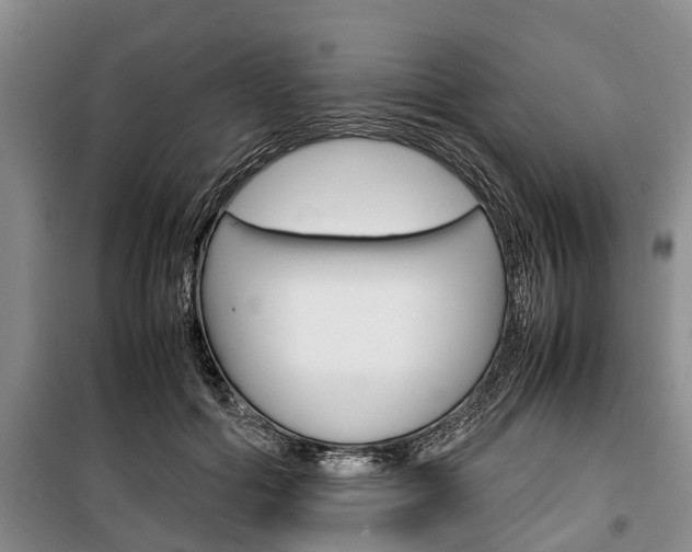 X0000100350602200806060802