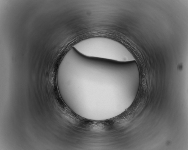 X0000100350604200806060802