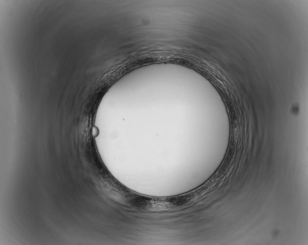 X0000100350605200806060802