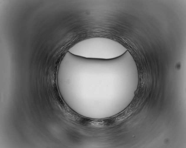 X0000100350606200806060802