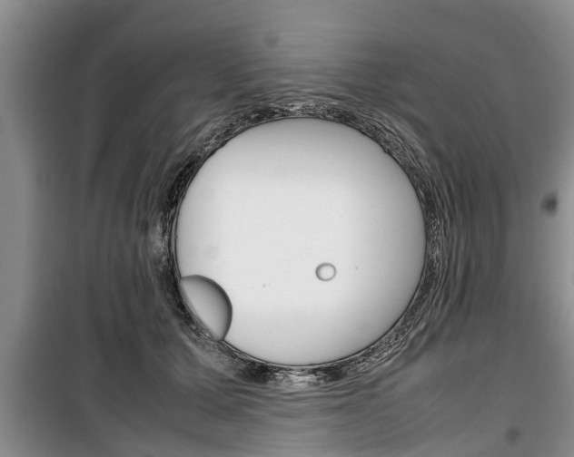 X0000100350607200806060802