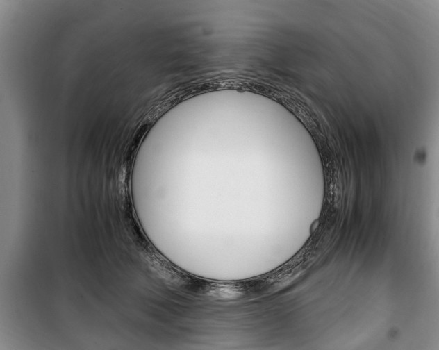 X0000100350610200806060802
