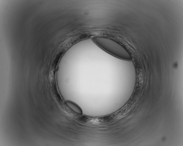 X0000100350611200806060802