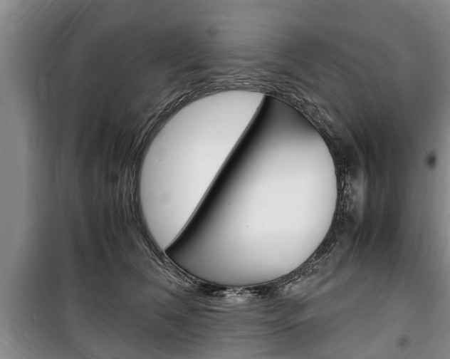 X0000100350612200806060802
