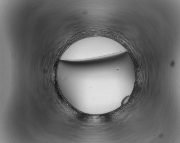 X0000100350613200806060802