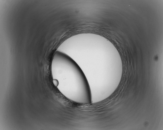 X0000100350615200806060802
