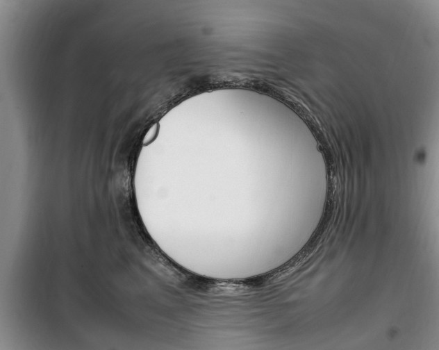 X0000100350617200806060802