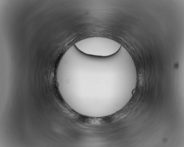 X0000100350618200806060802