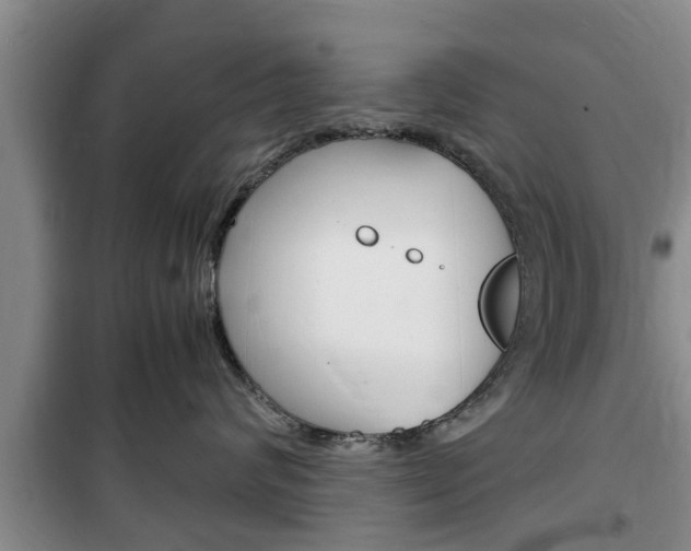 X0000100350624200806060802