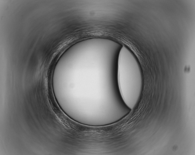 X0000100350626200806060801